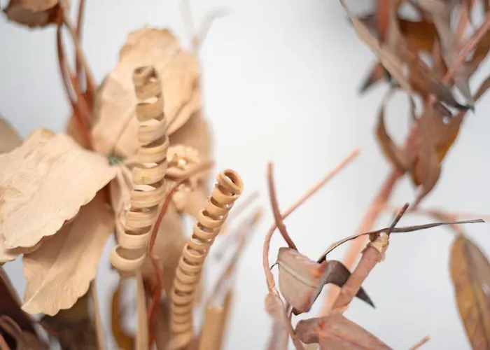 Casa Auxilia * Araya (Tenerife)